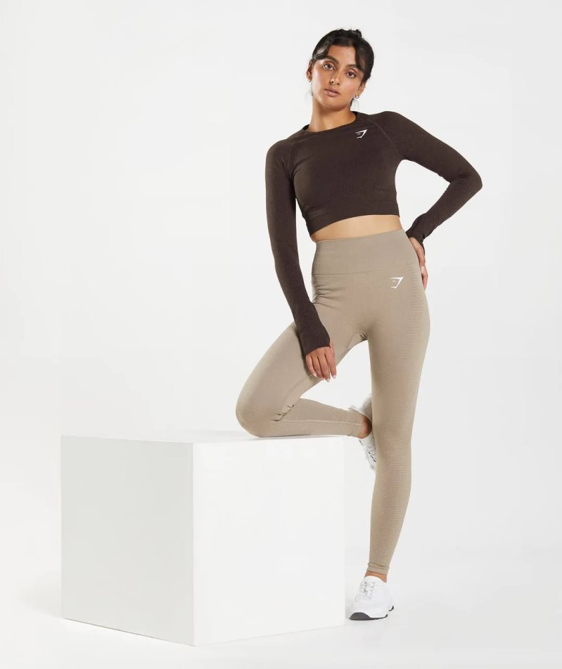 Women's Gymshark Vital Seamless 2.0 Cropped Tops Chocolate | NZ 8GPSFN